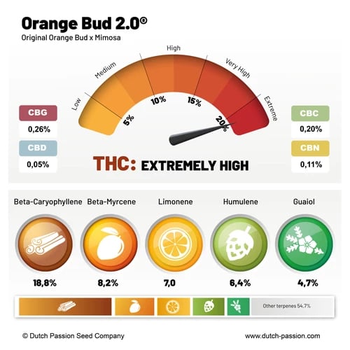 Orange Bud 2.0 cannabinoid and terpene profile