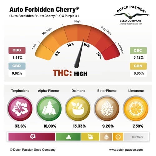 Auto Forbidden Cherry cannabinoid and terpene profile