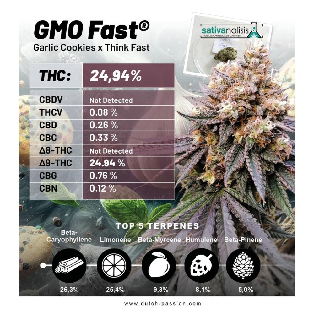 GMO Fast independent lab-test results