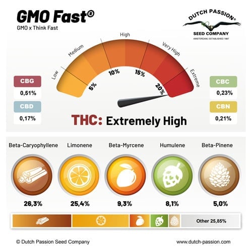 GMO Fast cannabinoid and terpene profile