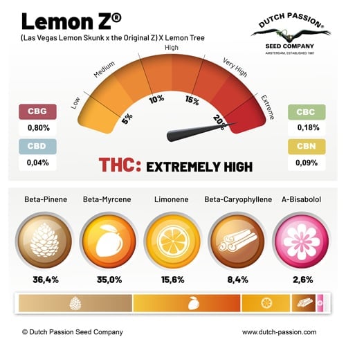 Lemon Z cannabinoid and terpene profile