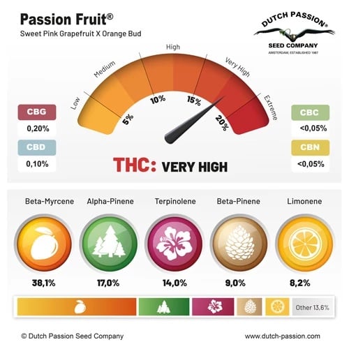 Passion Fruit cannabinoid and terpene profile