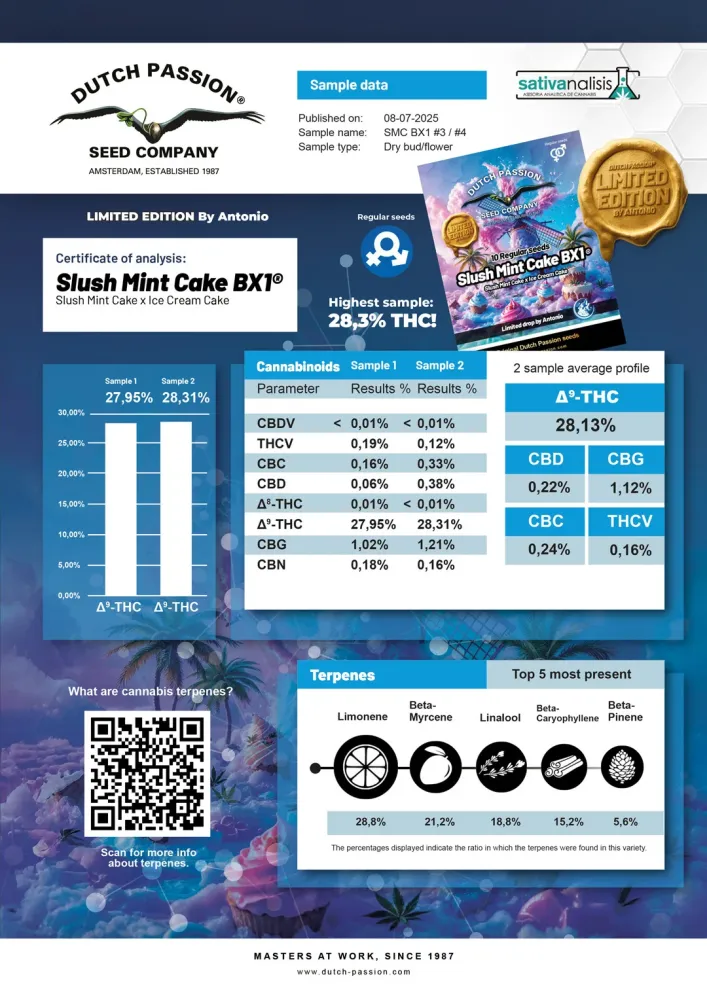 Slush Mint Cake BX1 cannabinoids and terpenes lab-test analysis