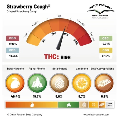 Strawberry Cough cannabinoid and terpene profile