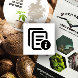 Dutch Passion brand guidelines