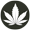 Indica cannabis seeds