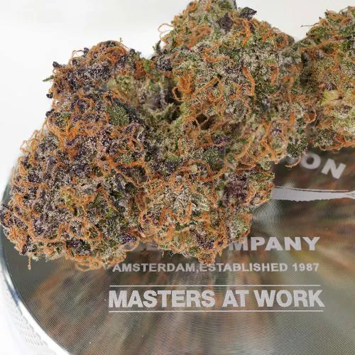 Auto Trichome & Cream