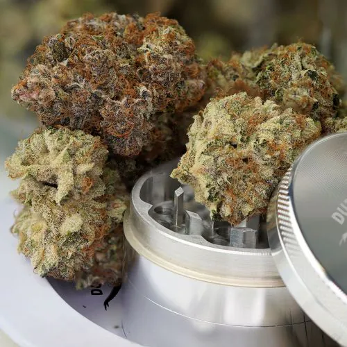 Auto Trichome & Cream