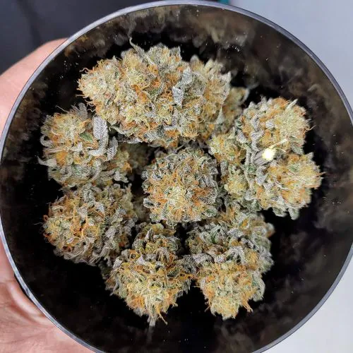 Amazon.com | Portmerion Botanic Garden Meadow - 10.5oz