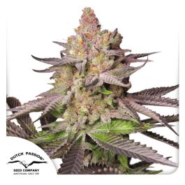 maramフルーツ maramフルーツ ももっこ on X