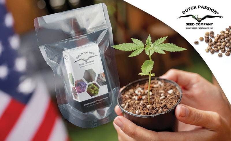 First new stock has arrived!