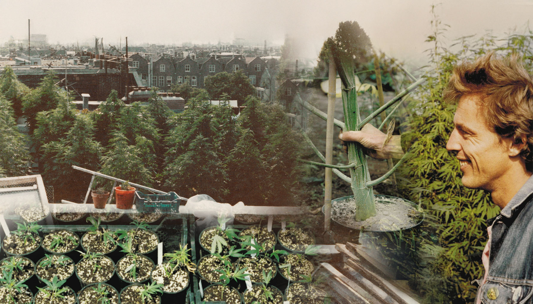 Henk van Dalen’s dream