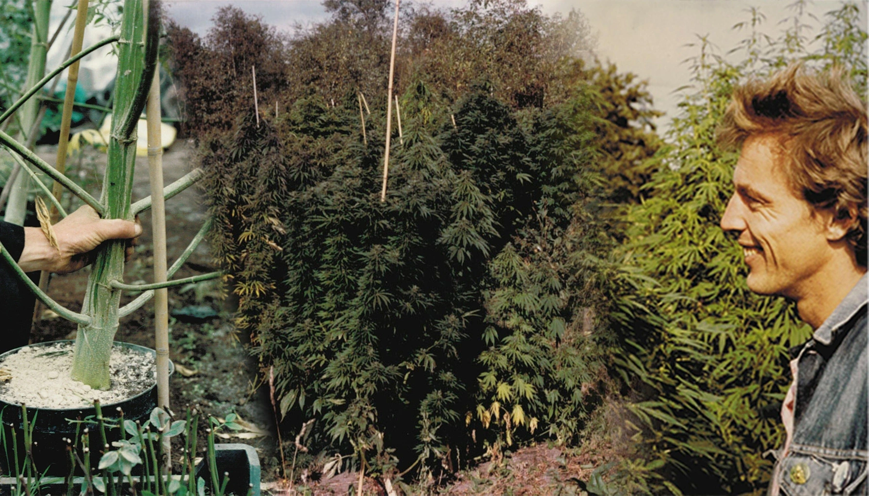 Henk van Dalen’s dream