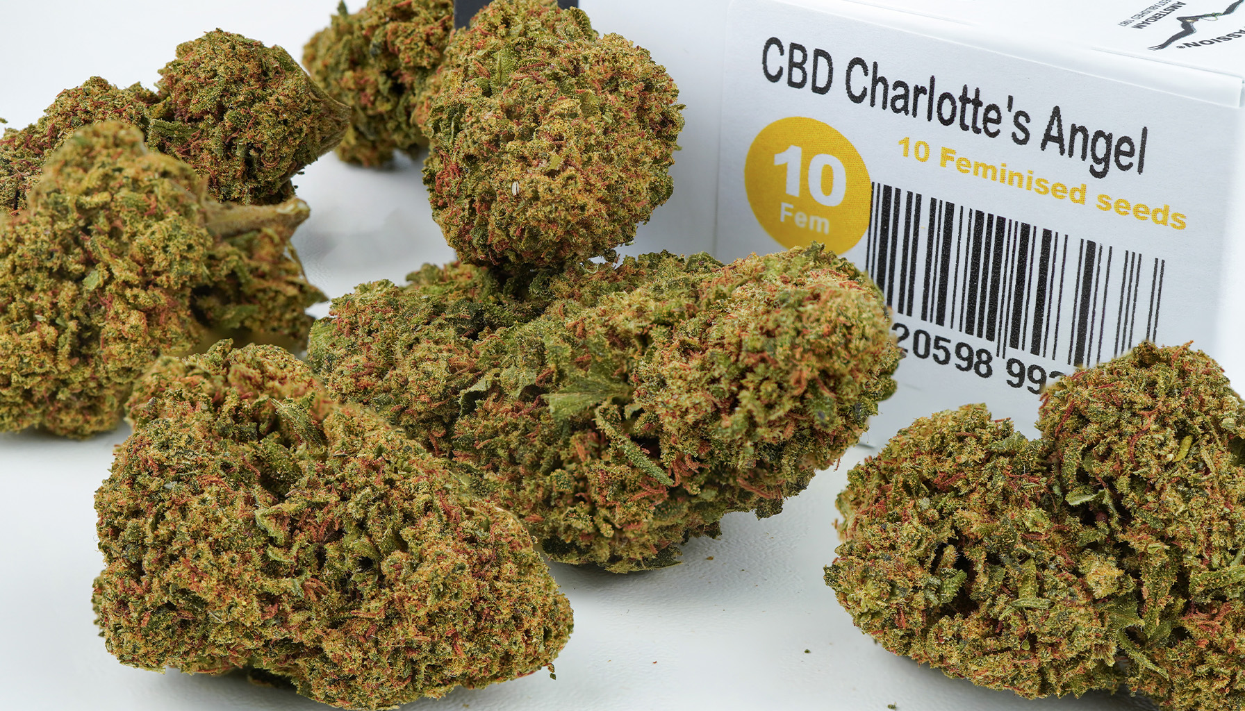 First stable CBD-rich cannabis seeds