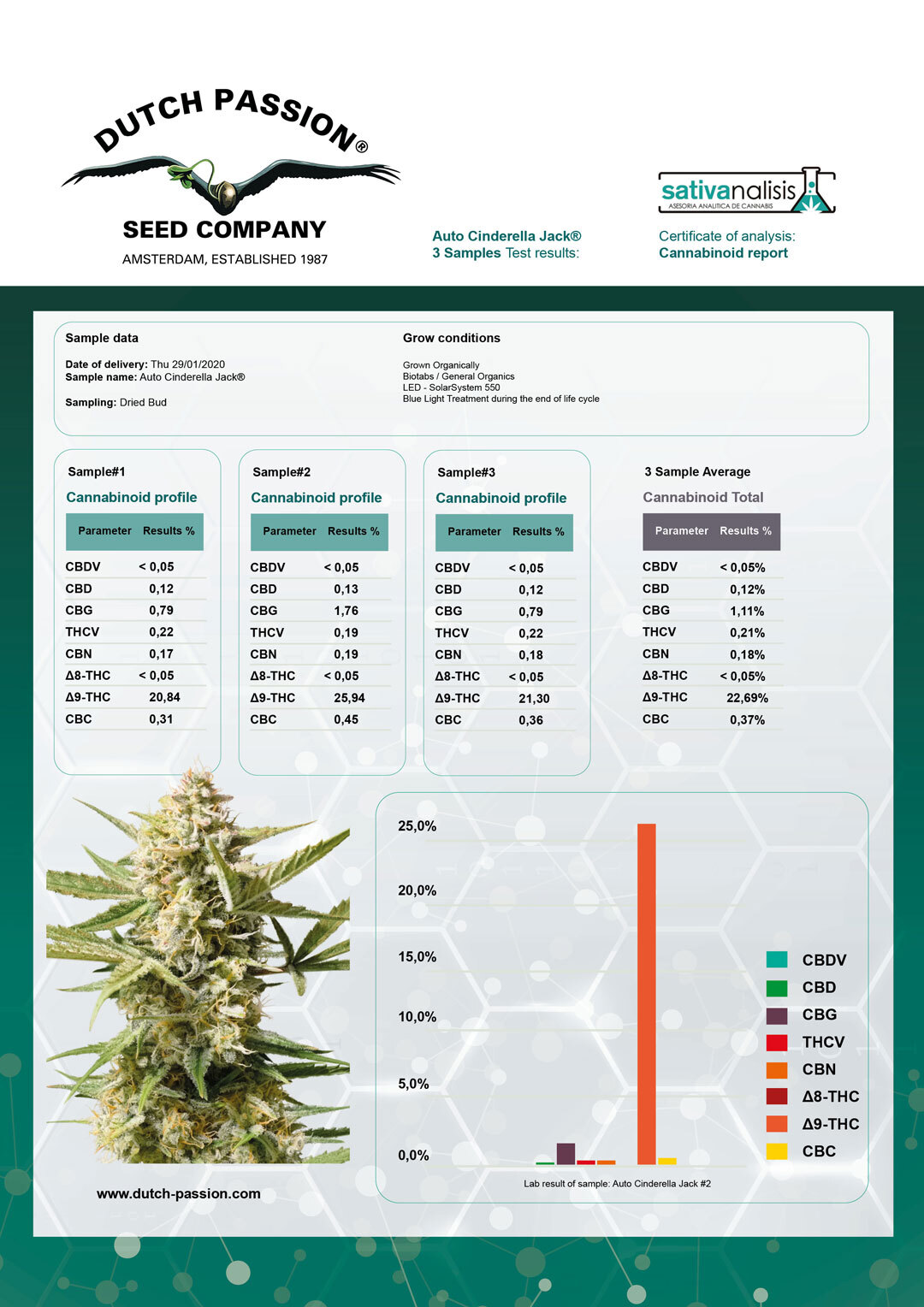 Auto Cinderella Jack lab tests