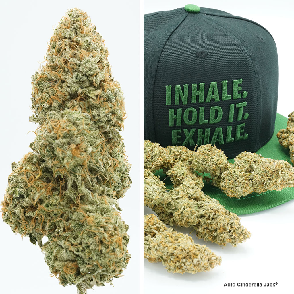 Auto Cinderella Jack and Inhale, Hold It, Exhale snapback