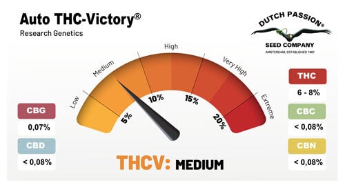 Auto THC-Victory cannabinoid profile