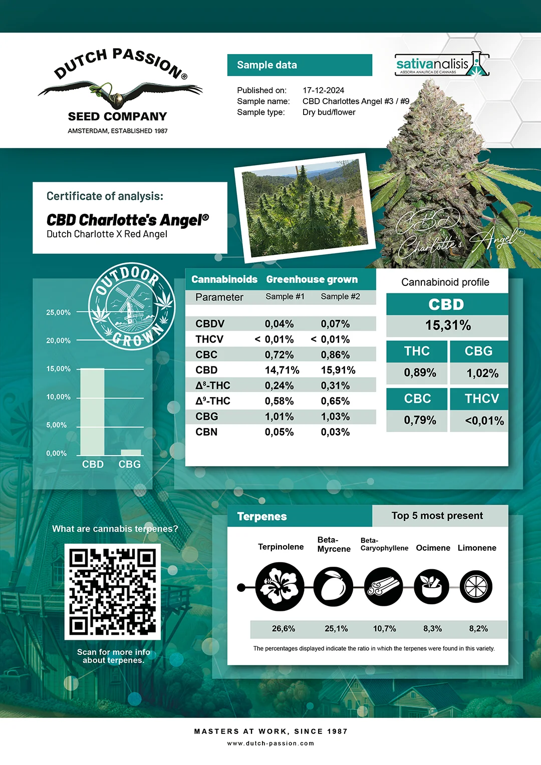 CBD Charlotte's Angel independent lab-test analysis