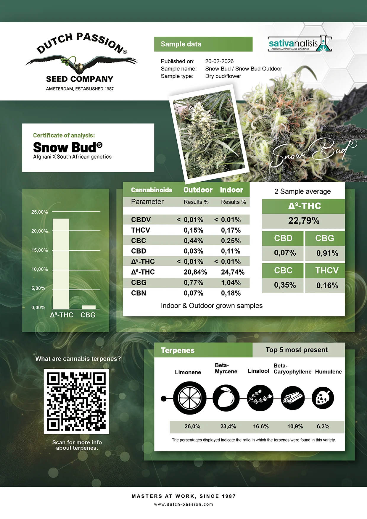Snow Bud independent lab-test analysis