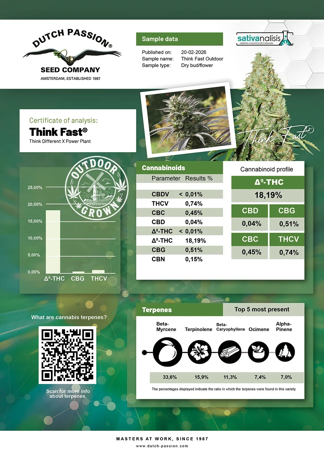 Think Fast independent lab-test analysis