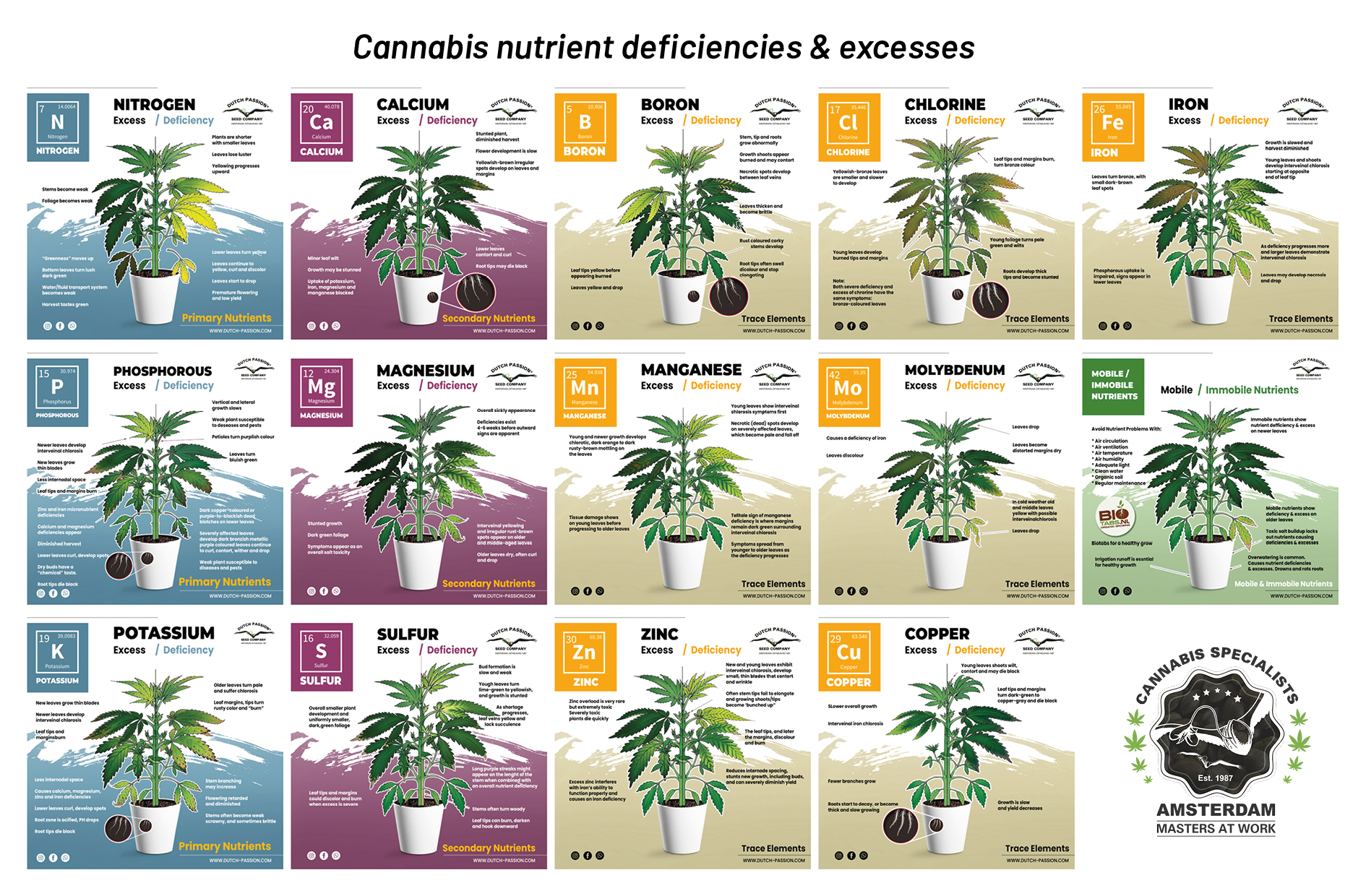 Cannabis nutrient deficiencies & excesses