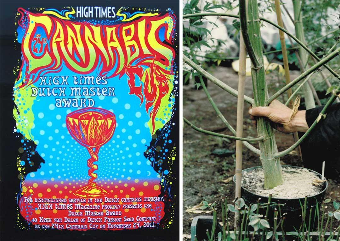 Dutch Passion High Times Award
