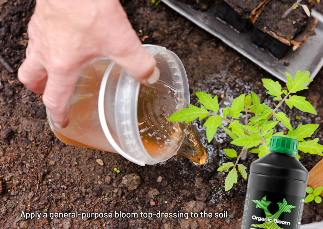 Evaluate nutrient intake for your cannabis plants