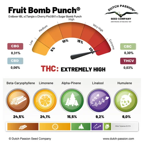 Fruit Bomb Punch cannabinoid and terpene profile