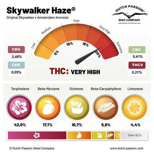 Skywalker Haze terpenes and cannabinoid profile