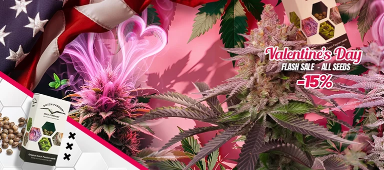 Valentine's Day flash sale 15% discount