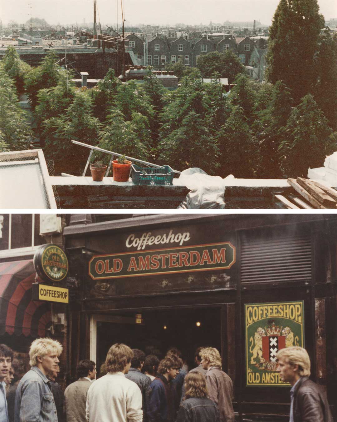 The first Dutch coffeeshops opened