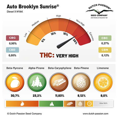 Auto Brooklyn Sunrise cannabinoid and terpene profile