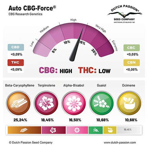 Auto CBG-Force cannabinoid and terpene profile