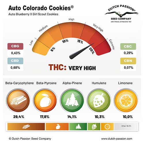 Auto Colorado Cookies cannabinoid and terpene profile