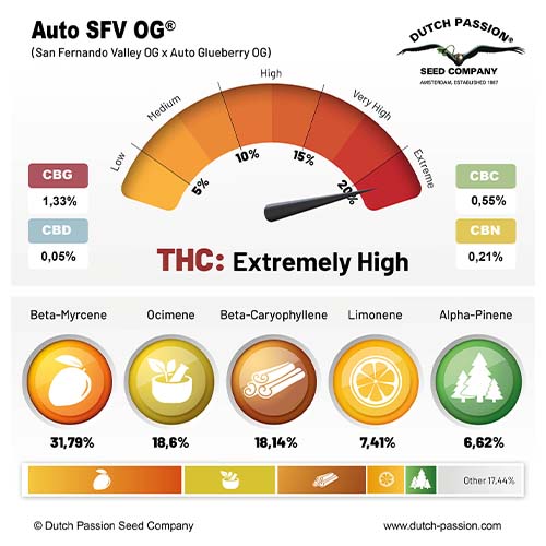 Auto SFV OG cannabinoid and terpene profile