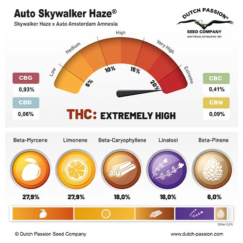 Auto Skywalker Haze cannabinoid and terpene profile