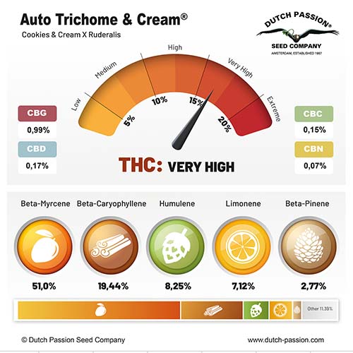 Auto Trichome & Cream cannabinoid and terpene profile