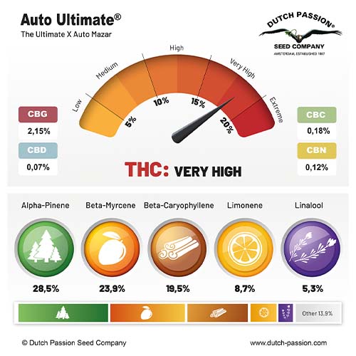 Auto Ultimate cannabinoid and terpene profile