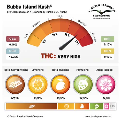 Bubba Island Kush cannabinoid and terpene profile