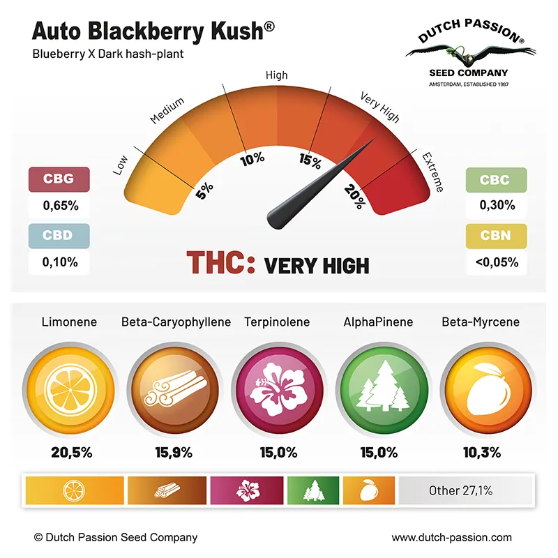 Auto Blackberry Kush cannabinoids and terpenes