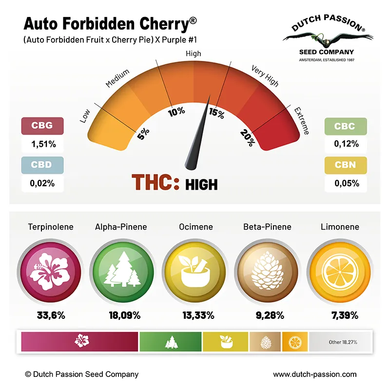 Auto Forbidden Cherry cannabinoids and terpenes