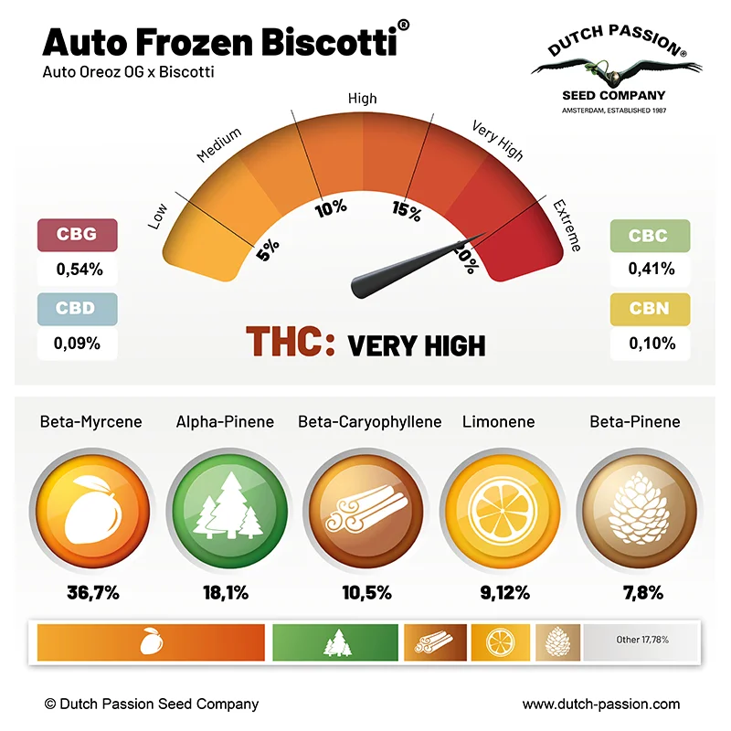 Auto Frozen Biscotti cannabinoids and terpenes