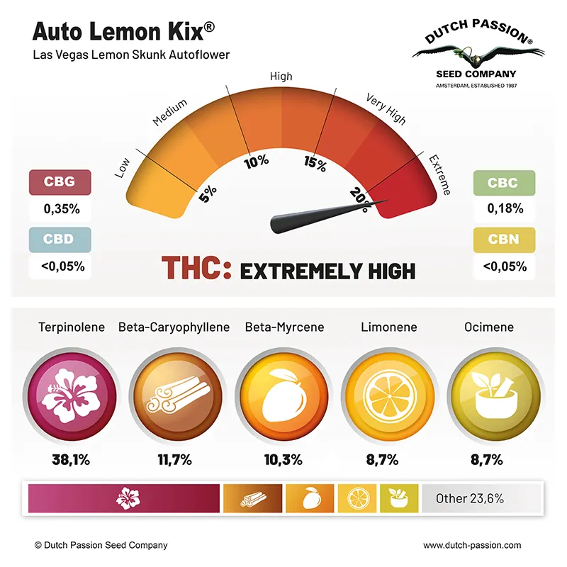 Auto Lemon Kix cannabinoids and terpenes