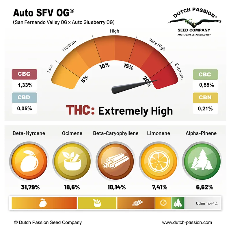 Auto SFV OG cannabinoids and terpenes