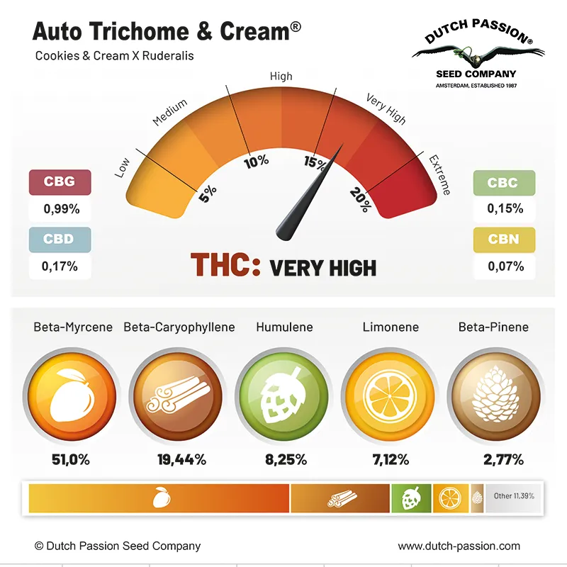 Auto Trichome & Cream cannabinoids and terpenes