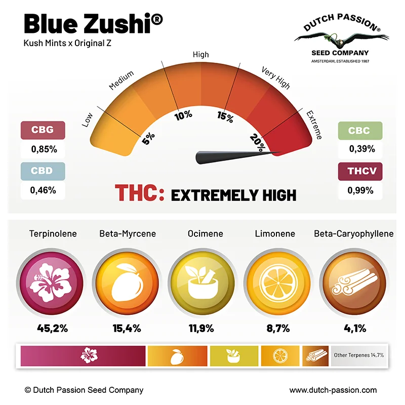 Blue Zushi cannabinoid and terpene profile