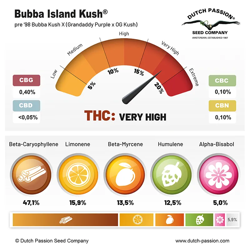 Bubba Island Kush cannabinoids and terpenes