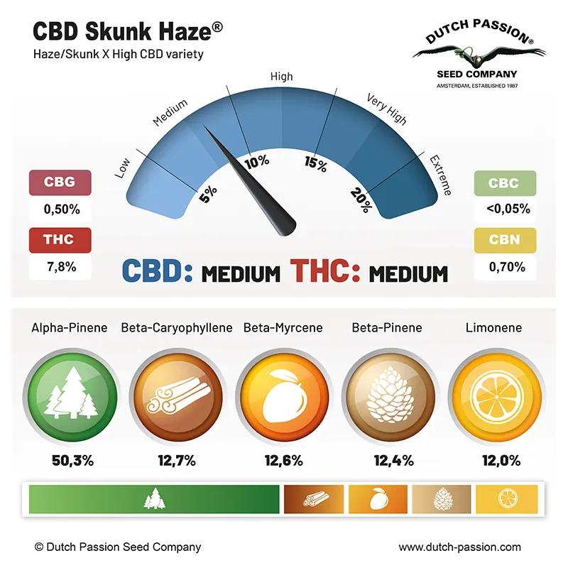 CBD Skunk Haze cannabinoids and terpenes