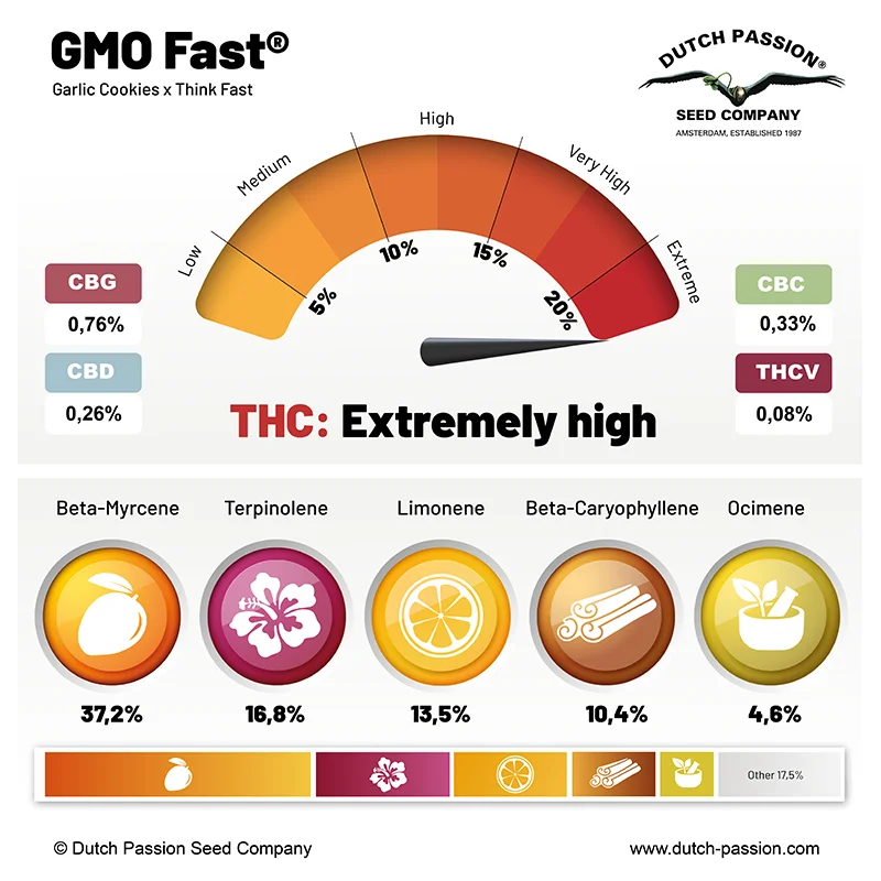 GMO Fast cannabinoid and terpene profile