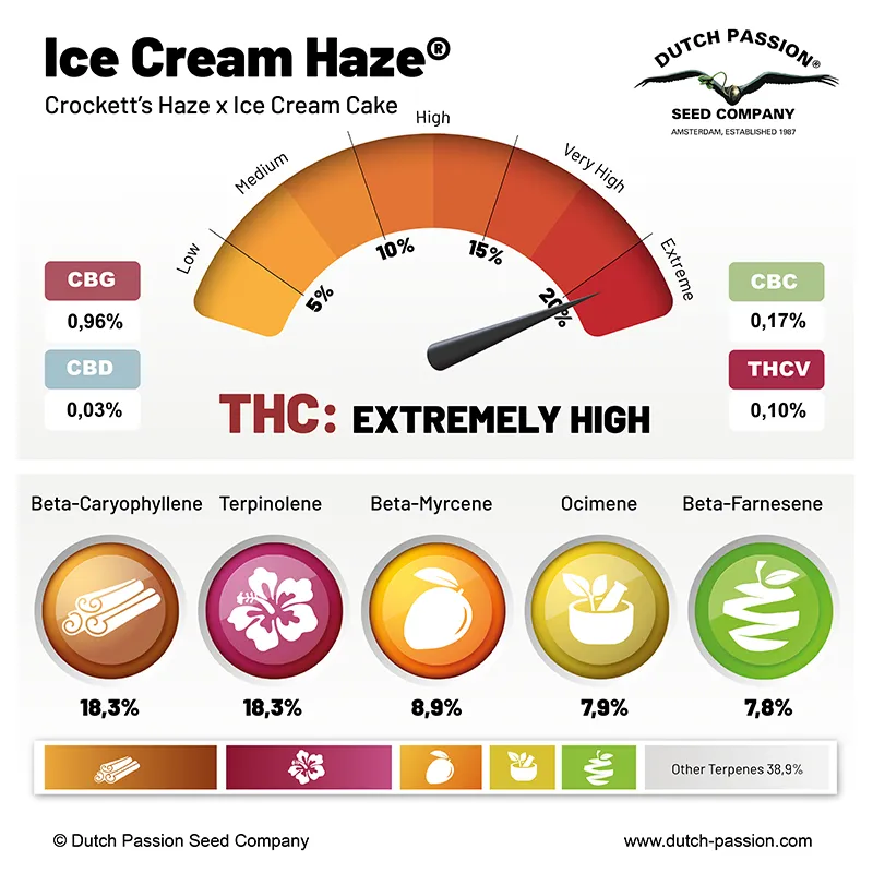 Ice Cream Haze cannabinoids and terpenes